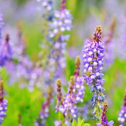 Similar image 13098158