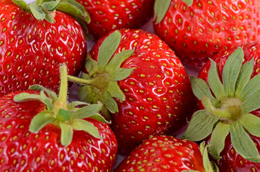 Similar image 13098178