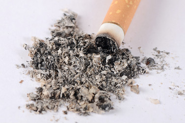 Similar image 13098439