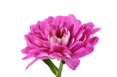 Similar image 13098479