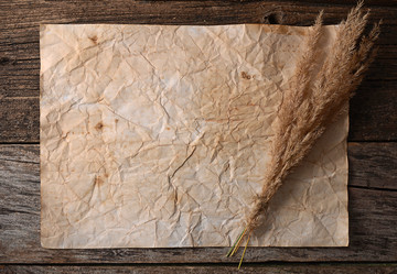 Similar image 13098500