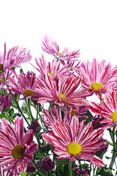 Similar image 13098540