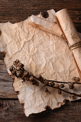 Similar image 13098541