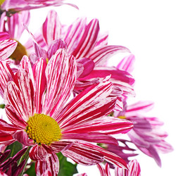 Similar image 13097922