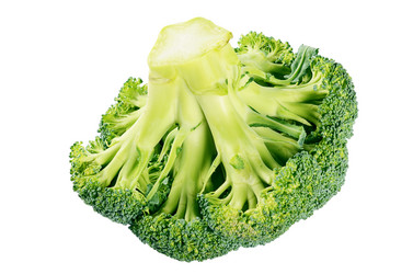 Similar image 13097982