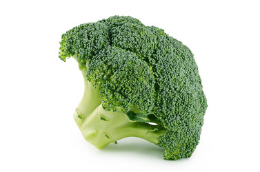 Similar image 13097995