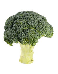 Similar image 13097997