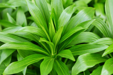 Similar image 13097998