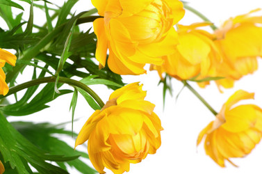 Similar image 13098014