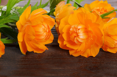 Similar image 13098016