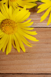 Similar image 13098018