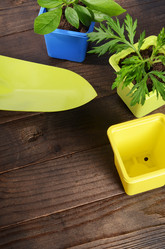 Similar image 13098020