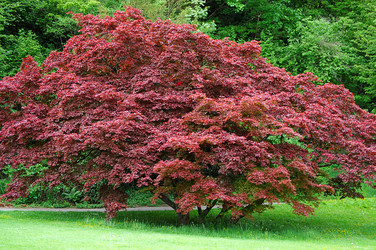 Similar image 13098030