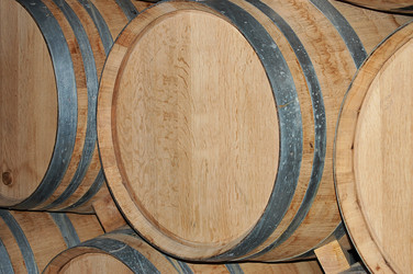 Similar image 13098031