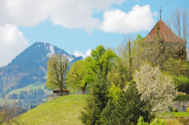 Similar image 13098032