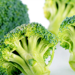 Similar image 13098038