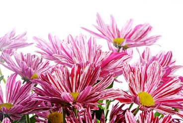 Similar image 13098043