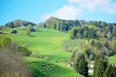 Similar image 13098044