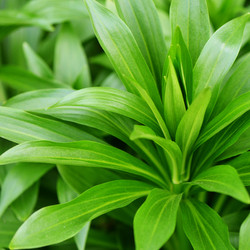 Similar image 13098047