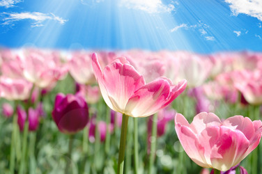 Similar image 13098080