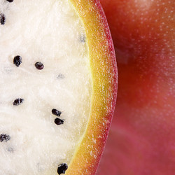 Similar image 13098083