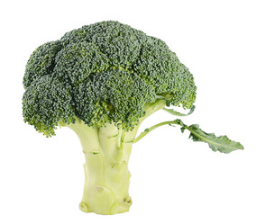 Similar image 13098119