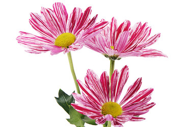 Similar image 13098143