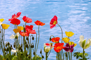 Similar image 13098163