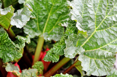 Similar image 13098164