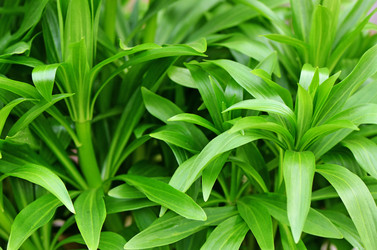 Similar image 13098167