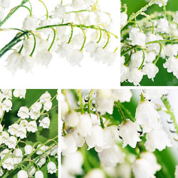 Similar image 13098185