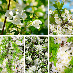 Similar image 13098187