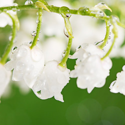 Similar image 13098188