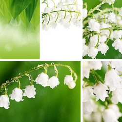 Similar image 13098203