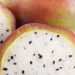 Similar image 13098204