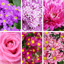 Similar image 13098207