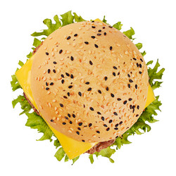 Similar image 13098425