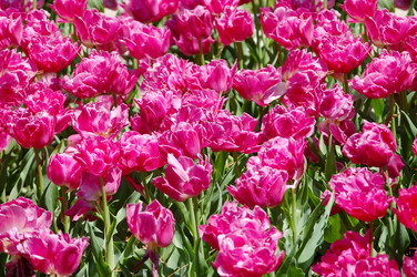 Similar image 13098464