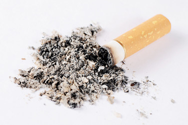 Similar image 13098563