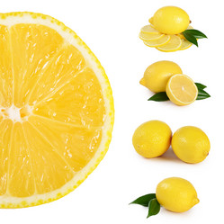 Similar image 13098565