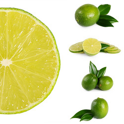 Similar image 13098568