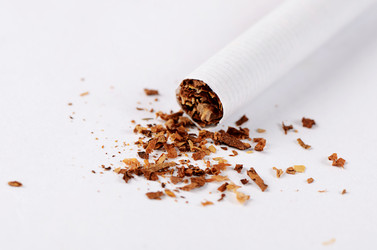 Similar image 13097985