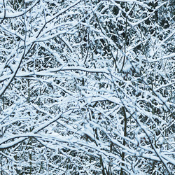 Similar image 13097987