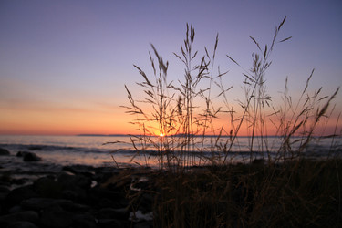 Similar image 13097297