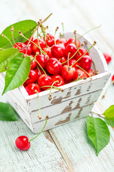 Similar image 13095477