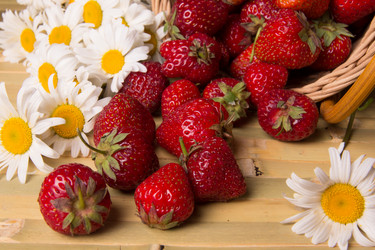 Similar image 13095261