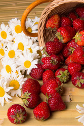 Similar image 13095287