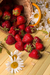 Similar image 13095288