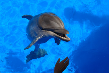 Similar image 13097288