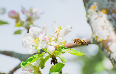 Similar image 13099320